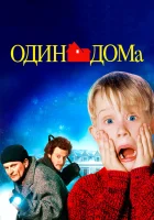 Один дома смотреть онлайн (1990) бесплатно в HD