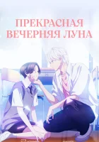  Прекрасная вечерняя луна смотреть онлайн аниме сериал 1 сезон бесплатно в HD